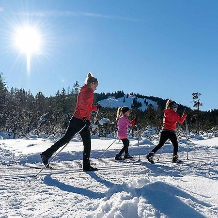 Ferienhaus Sinz Schwarzenberg im Bregenzerwald Ngoại thất bức ảnh